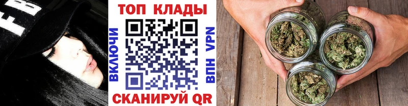Купить закладку Волгореченск Alpha PVP  МЕФ  ГАШ  Псилоцибиновые грибы  Бошки Шишки 