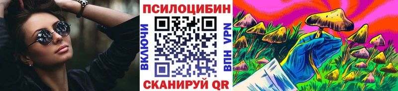 Псилоцибиновые грибы Psilocybine cubensis купить наркоту Волгореченск