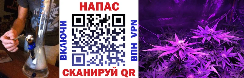 цена наркотик  Волгореченск  Конопля AK-47 